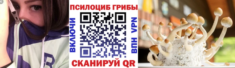 Галлюциногенные грибы GOLDEN TEACHER купить mega ONION Белый